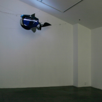 Intimate Acceleration