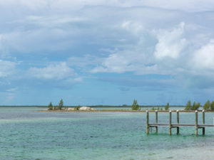 The Bay in Bimini, The Bahamas.